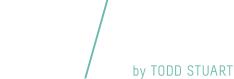 Logo: Mainartery by Todd Stuart