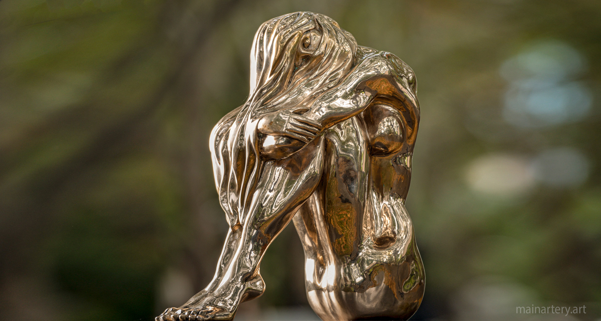 outdoor polished bronze representational art image